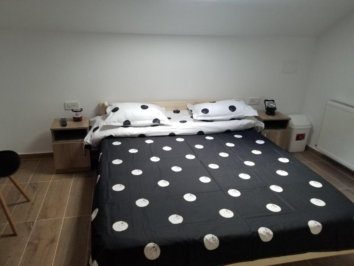 Autentic Adorabil Apartment Albestii Paminteni Exterior foto